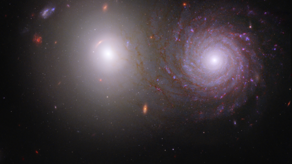 Die Forscher des Space Telescope Science Institute ließen das Galaxiepaar VV 191 von einer Astronomie-Community auswählen. (Bild: Alyssa Pagan /STScI) James-Webb-Teleskop: Im Teamwork mit Hubble neue Galaxie entdeckt