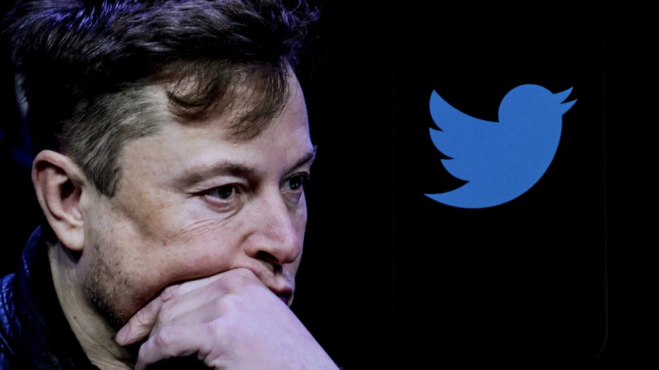 Elon Musk hat den gesamten Twitter-Verwaltungsrat aufgelöst