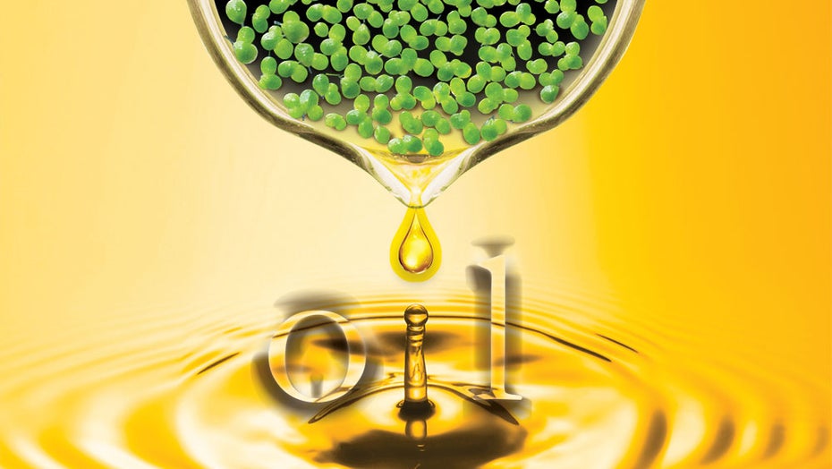 Wasserlinse statt Soja: Produktion von Biokraftstoffen aus Entengrütze kommt voran