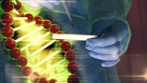Fahndungsbild aus DNA löst Shitstorm aus – und wird wieder gelöscht