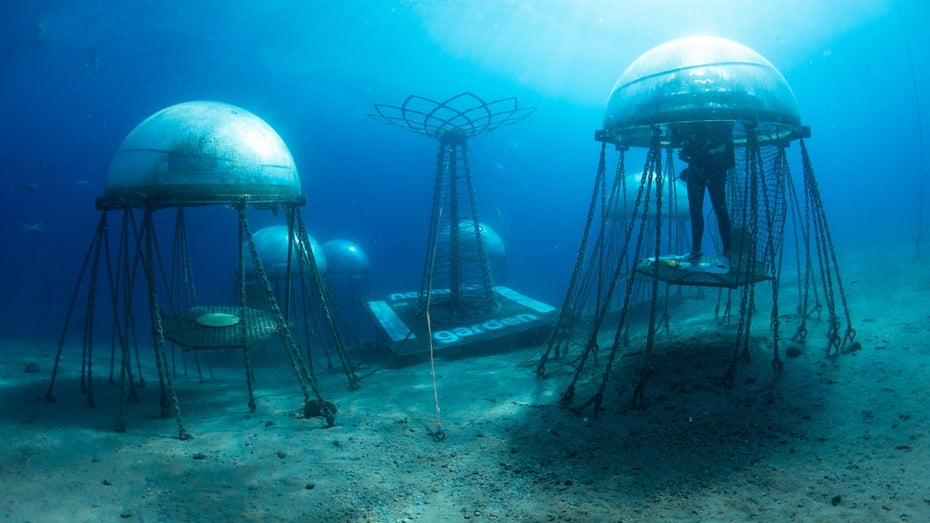 Wenn das Sonnenlicht die feuchte Luft im Inneren der Kuppeln erwärmt, kondensiert auf natürliche Weise frisches Wasser an den Wänden, das zur Bewässerung der Pflanzen aufgefangen werden kann. (Foto: Nemo's Garden) Ganz schön deep: Forscher züchten Kräuter in Unterwasserfarmen