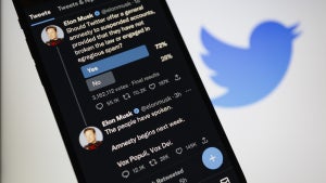 „Amnestie”: Musk lässt gesperrte Twitter-Nutzer zurück auf die Plattform