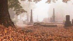 Ein Google-Street-View für Grabsteine: Dieses Unternehmen digitalisiert Friedhofskarten