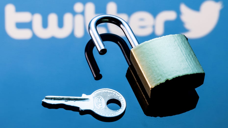 Streit mit Google Cloud: Geht Twitter bald die Sicherung aus? (Bild: Sergei Elagin/Shutterstock) Musk zahlt nicht für Google Cloud: Verprellt Twitter jetzt den zweitgrößten Werbekunden?