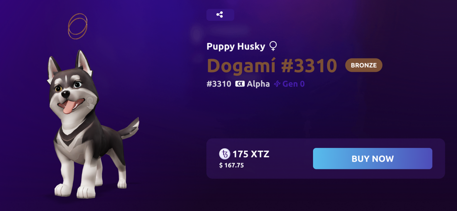 Husky-Welpe Nr. 3310 kostet umgerechnet rund 152 Euro. (Bild: Dogami)