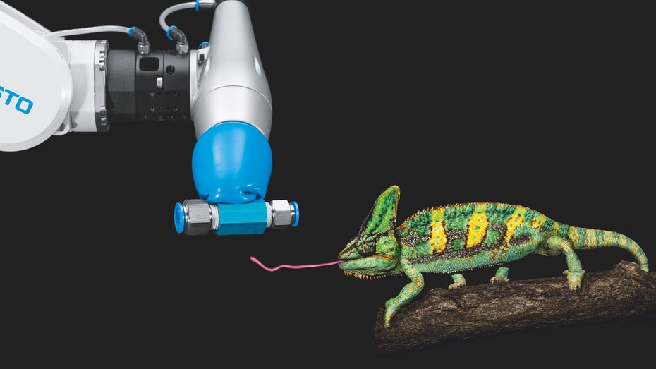 Sehr zungenfertig: Die Ingenieure von Festo haben sich von der Zunge eines Chamäleons inspirieren lassen. Wie bei dem Reptil stülpt sich der Greifer über seine „Beute“ und kann so auch einzelne Schrauben aus einem Haufen herauspicken. (Abbildung: Festo) Bionik: Ingenieure nehmen sich die Natur als Vorbild für Tech-Innovationen