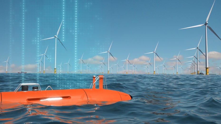 Das Kieler Startup True Ocean hat es sich zur Mission gemacht, den Ozean zu digitalisieren. (Abbildung: True Ocean) Philippe Take von True Ocean: „Wir digitalisieren den Ozean“