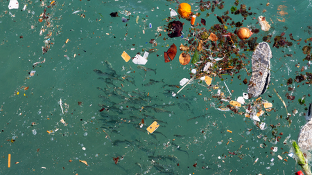 KI-Boote für saubere Gewässer: Wie everwave Müll den Kampf ansagt