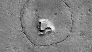 Bären-Gesicht auf dem Mars? Das steckt hinter der Aufnahme einer Nasa-Sonde
