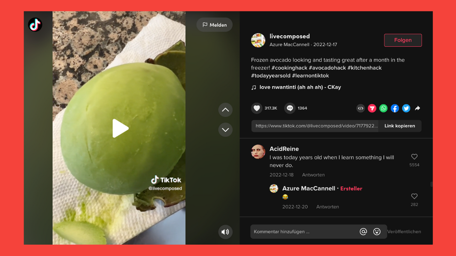 Tiktok Pulse: Creatorin verdiente in 5 Monaten nur 1,85 US-Dollar Tiktok Pulse: Creatorin verdiente in 5 Monaten nur 1,85 US-Dollar