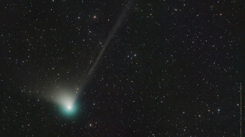 Komet C/2022 E3 (ZTF) am dunklen Nachthimmel (Foto: Dan Bartlett / Nasa)