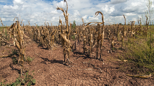 Klimawandel: Neue KI von IBM und Nasa soll Gamechanger werden