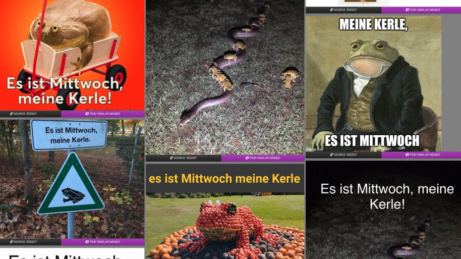 Vom Mittwochsfrosch zur Morbin’ Time: Diese Suchmaschine findet jedes Meme Vom Mittwochsfrosch zur Morbin’ Time: Diese Suchmaschine findet jedes Meme