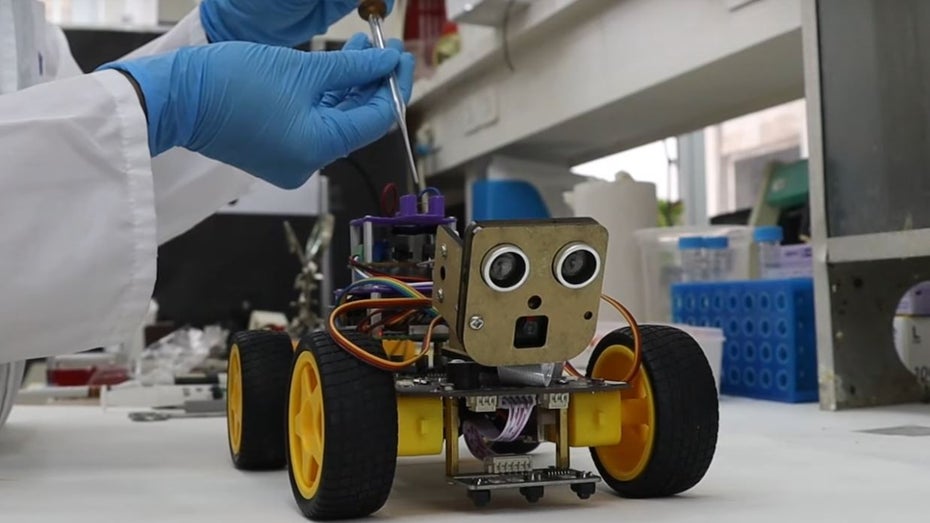 Dank Heuschreckenfühlern: Dieser Roboter hat einen Geruchssinn