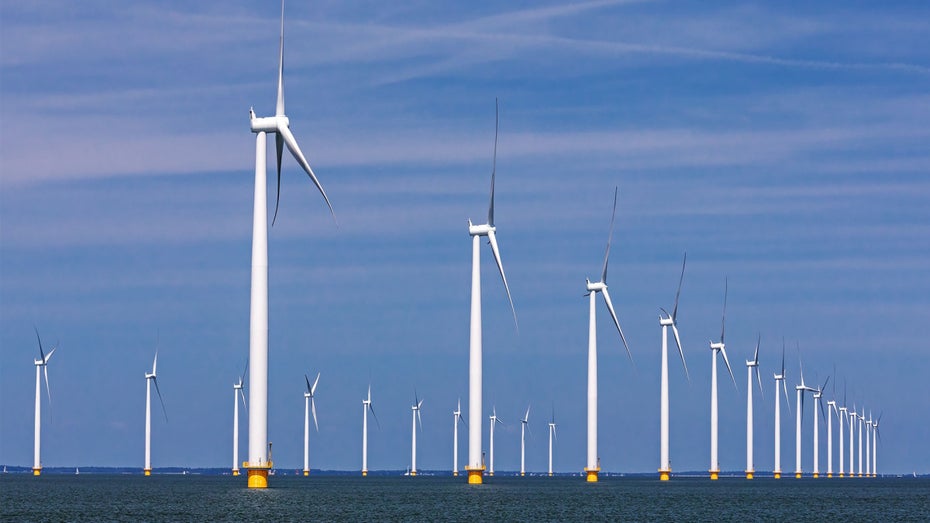Vögel können Windrädern überraschend gut ausweichen. (Foto: Shutterstock / Thorsten Schier) Seevögel weichen Offshore-Windrädern besser aus als gedacht