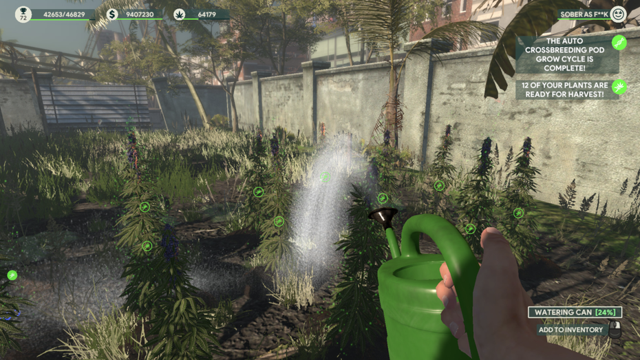 Cannabis verkaufen und mehr: In diesen 6 Steam-Games werdet ihr zum Unternehmer Cannabis verkaufen und mehr: In diesen 6 Steam-Games werdet ihr zum Unternehmer