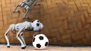 Fußballroboter Dribblebot spielt auf jedem Terrain – und rettet Leben