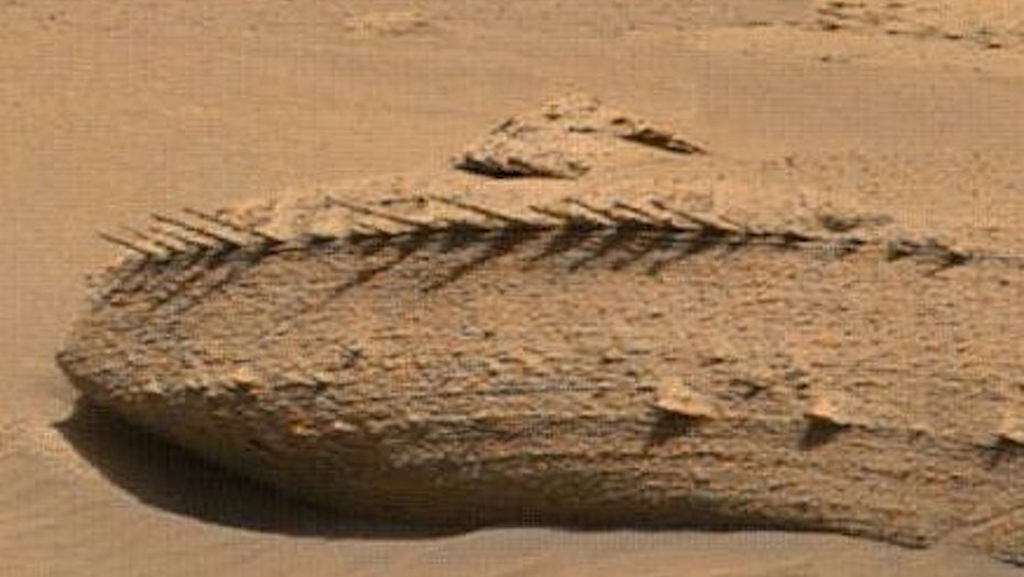 Bizarre Felsformation auf dem Mars erinnert an Knochen oder Gräten. (Bild: NASA/JPL-Caltech, via Twitter) Dinosaurier-Knochen oder Fischgräten? Mars-Rover Curiosity entdeckt bizarren Felsen