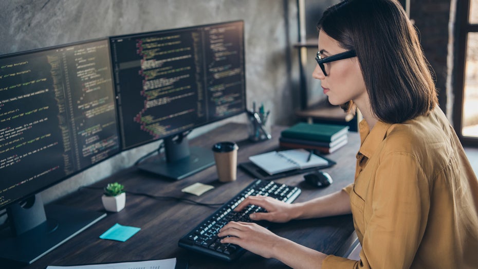 Hacker werden für das Finden von Bugs belohnt. (Foto: Shutterstock / Roman Samborskyi) ChatGPT: Bug-Bounty-Programm zahlt bis zu 20.000 Dollar für einen Fehler aus