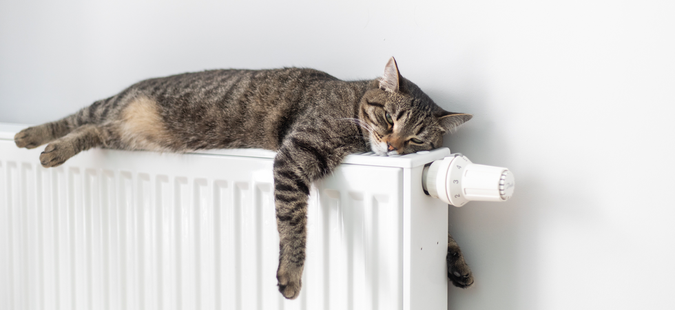 Ratgeber Energiepreispauschale: Wer die Pauschale (zweimal) erhält und warum Ratgeber Energiepreispauschale: Wer die Pauschale (zweimal) erhält und warum