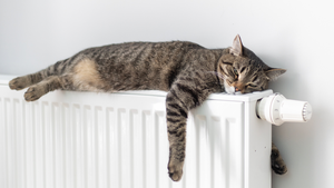 Ratgeber Energiepreispauschale: Wer die Pauschale (zweimal) erhält und warum