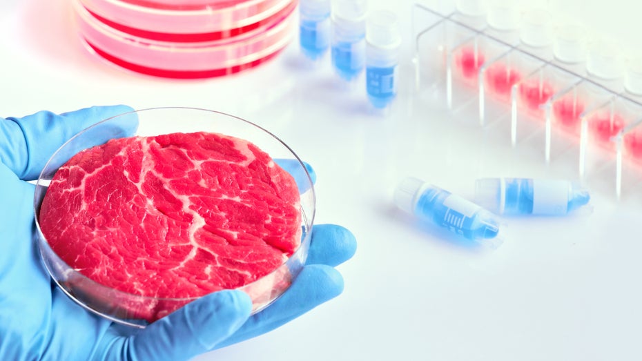 USA erlauben Verkauf von Laborfleisch