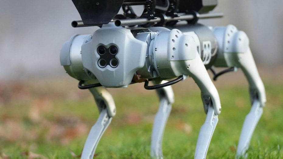 Ideal für...ja für was eigentlich? Der Thermonator. (Foto: Throwflame) Der Hit für Hausmeister: Hier kommt der Roboterhund mit Flammenwerfer