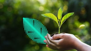 Verantwortung übernehmen und nachhaltige Beschaffungsstrategien angehen