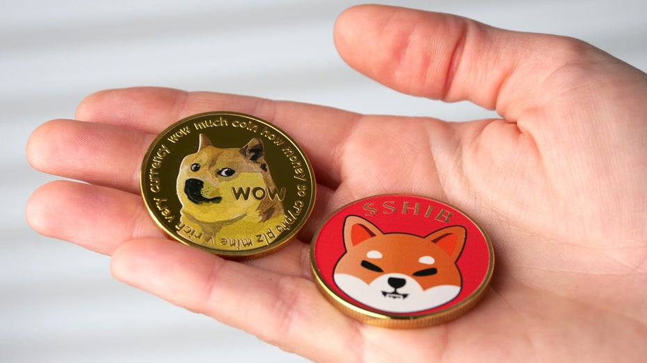 Pump and Dump: Das Erfolgsgeheimnis von Memecoins Pump and Dump: Das Erfolgsgeheimnis von Memecoins