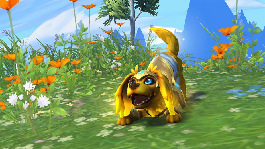Sunny ist nur eins der beiden Haustiere. (Foto: Blizzard) Mila Kunis und „World of Warcraft“ unterstützen die Ukraine per Haustierpaket