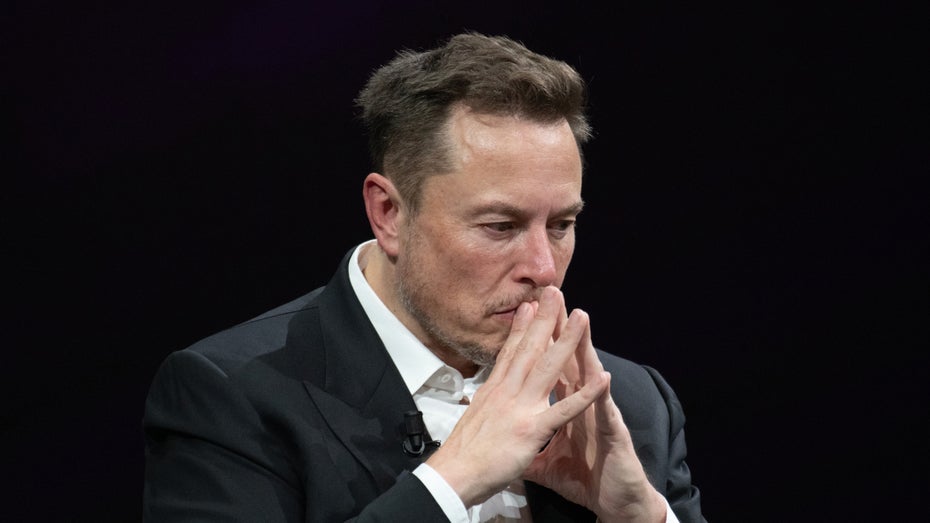 Elon Musk Billig-Tesla