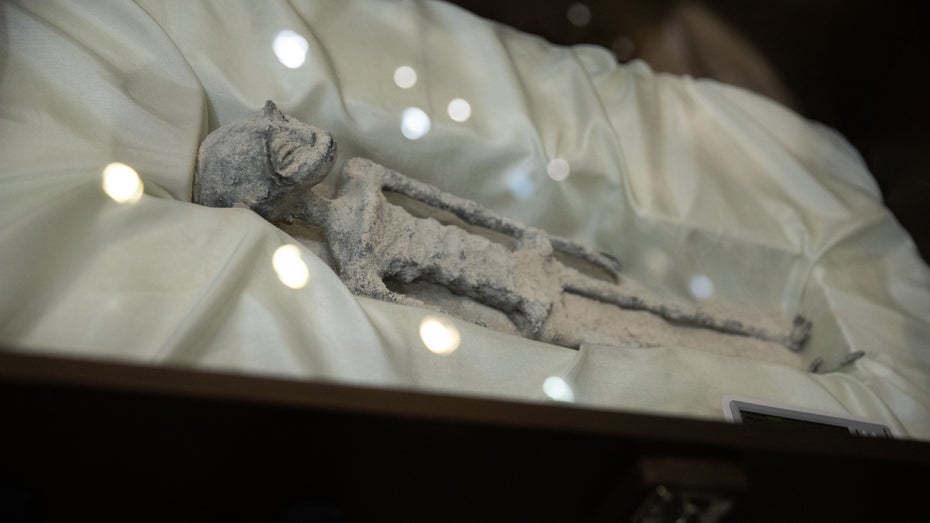 Dieser Alien wurde in Mexiko präsentiert. (Foto: dpa) Außerirdisch gute Memes: So reagiert das Netz auf die mexikanischen „Alien“-Mumien