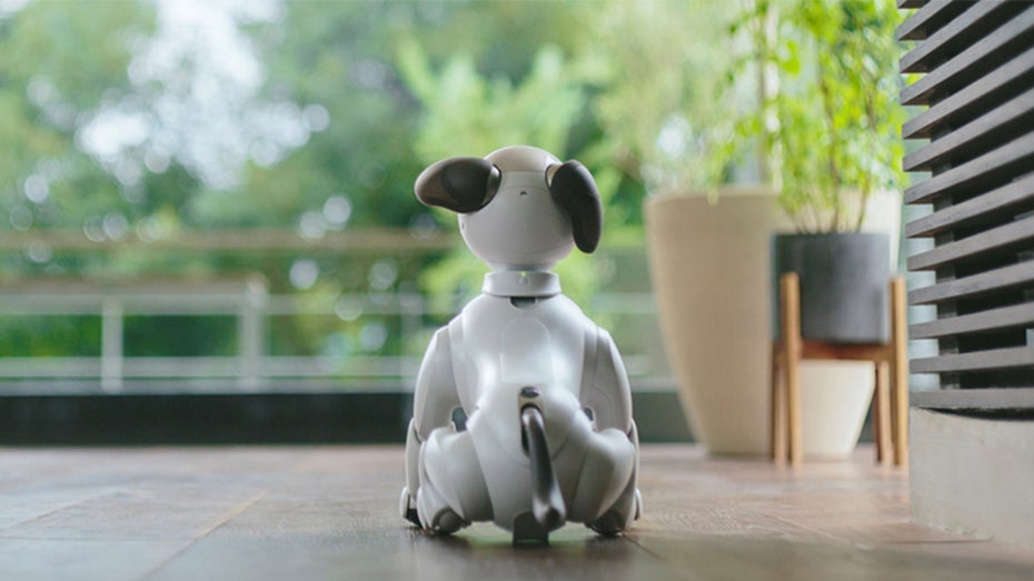 Sony startet Pflegeprogramm für alternde Roboterhunde