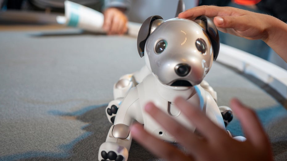 Ein abgespecktes iPhone Pro und ein neues Zuhause für Robo-Hunde