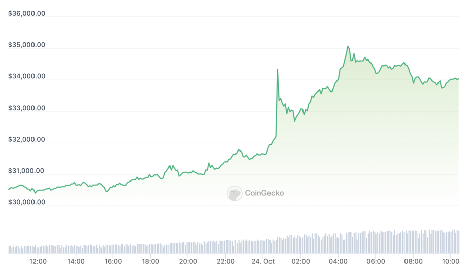 Jahreshoch für den Bitcoin: 11,6 Prozent hat die Kryptowährung in den vergangenen 24 Stunden laut Coingecko zugelegt. (Quelle/Grafik: Coingecko)