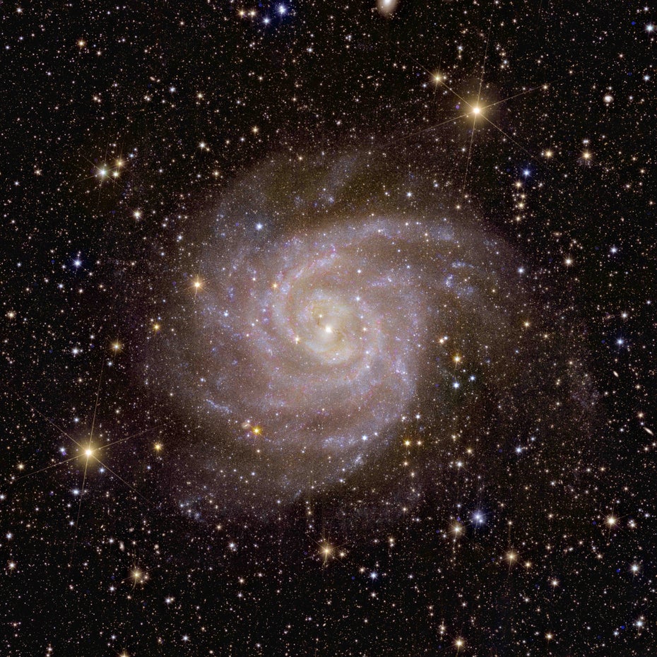 Hidden Galaxy, aufgenommen vom Euclid-Teleskop