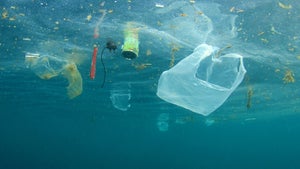 Diese KI soll dabei helfen, Plastik im Meer zu identifizieren