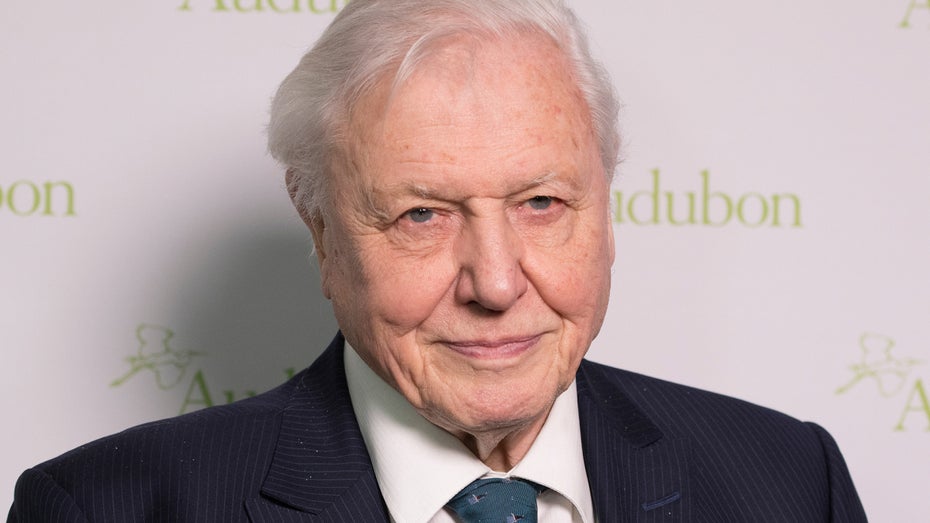 Die Attenborough-KI kann alles kommentieren. (Foto: lev radin / Shutterstock) KI-David-Attenborough kann jetzt euer komplettes Leben kommentieren