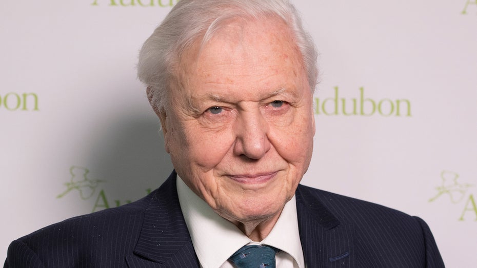 KI-David-Attenborough kann jetzt euer komplettes Leben kommentieren