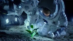 Weltraum-Ernte: Chinesische Astronauten landen mit Tomaten aus dem All