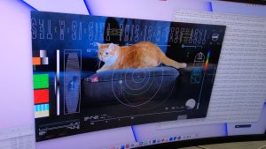 Nasa: Sonde Psyche streamt Katzenvideo per Laser 30 Millionen Kilometer weit