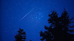 Andromediden im Rampenlicht: Sternschnuppenspektakel am winterlichen Himmel