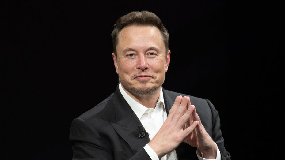 Elon Musk - Figure 1