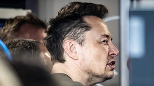 Ketamin, Magic Mushrooms und mehr: Elon Musk nimmt angeblich Drogen in großem Stil