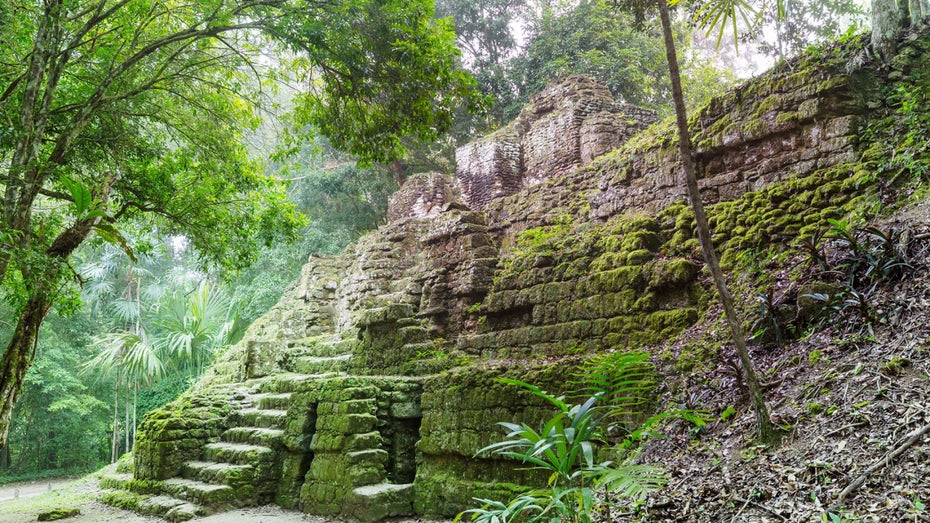 Laserscanning mit Lidar enthüllt 2500 Jahre alte Stadt im Amazonasgebiet