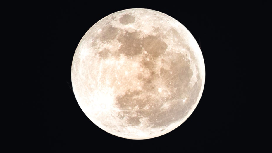 Mond: Was versteckt sich im Inneren des Erdtrabanten? (Symbolfoto: DilshanSS/Shutterstock) Mond