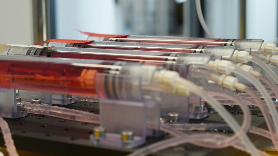 In diesem Bioreaktor entstehen Venen. (Foto: CSEM) Implantate aus dem Labor: Clexbio stell künstliche Venen her