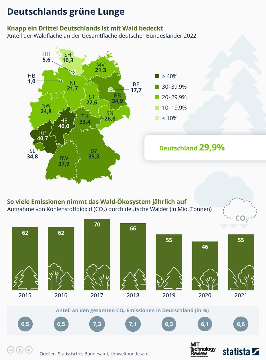 Infografik zum Thema Wald in Deutschland und die Menge an CO2, die er bindet