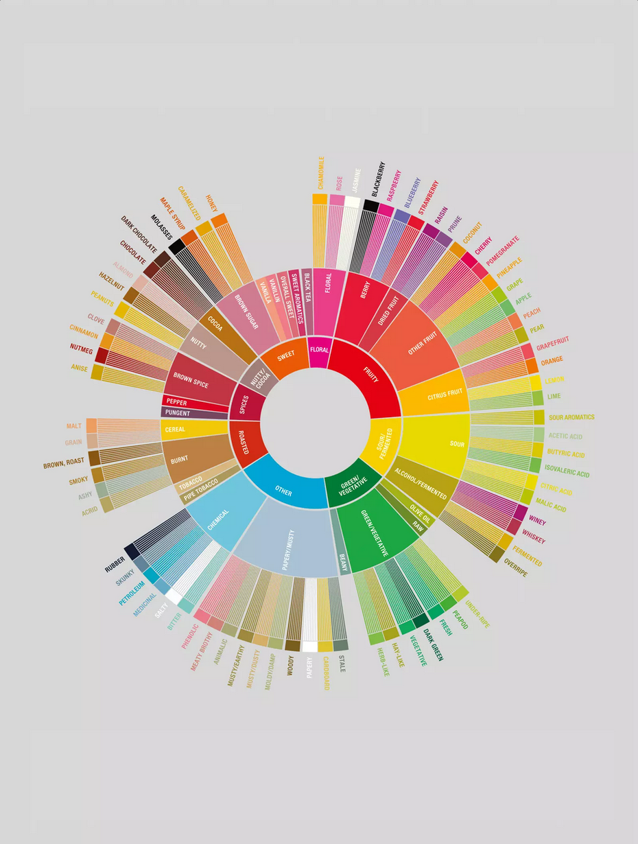 Schematische Darstellung der vielfältigen Kaffeearomen.