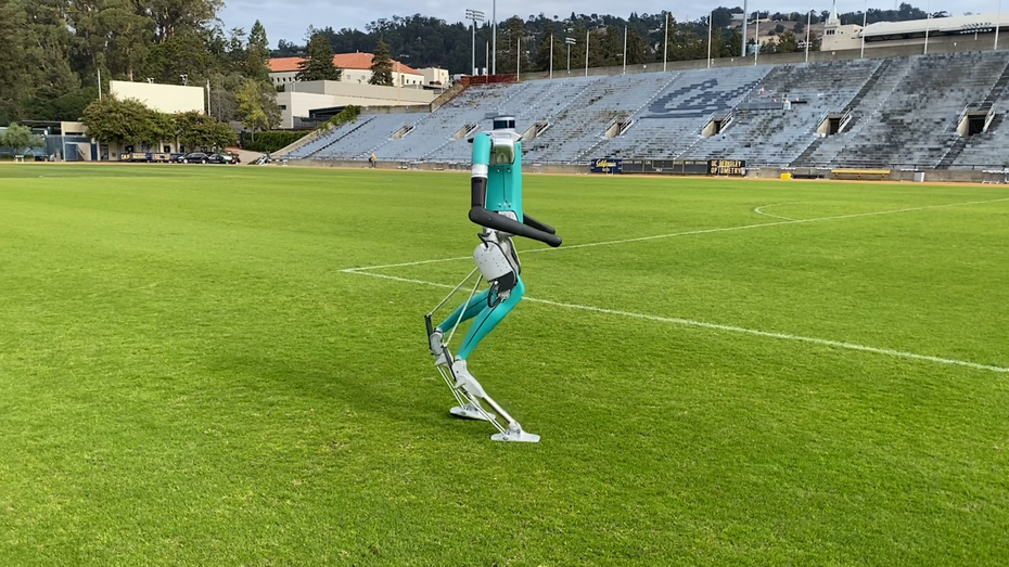 Digit: Wie die Technologie hinter ChatGPT diesen Roboter antreibt Digit: Wie die Technologie hinter ChatGPT diesen Roboter antreibt